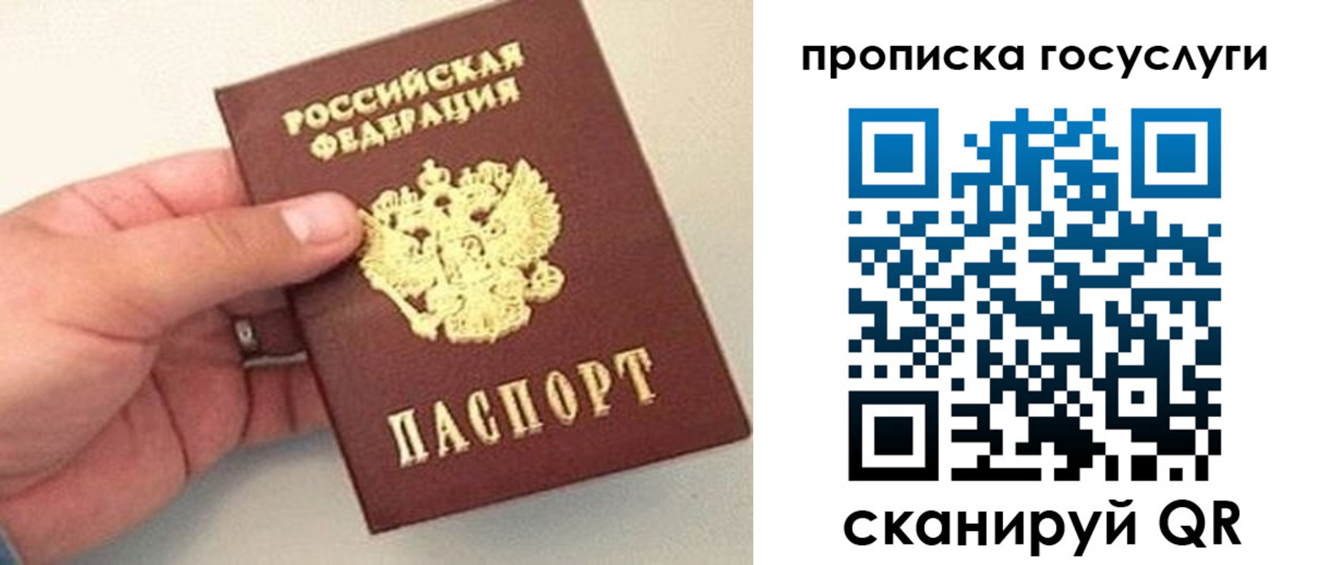 где прописаться в Лисках